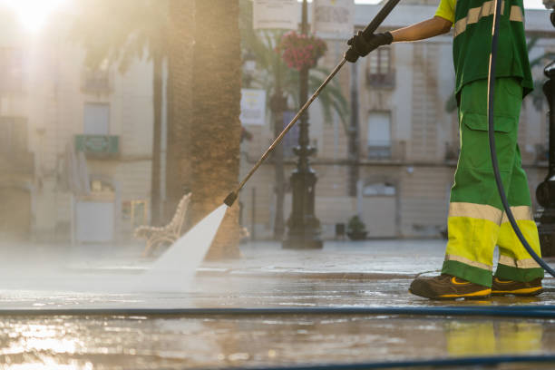 Best Roof Washing  in Coalfield, TN